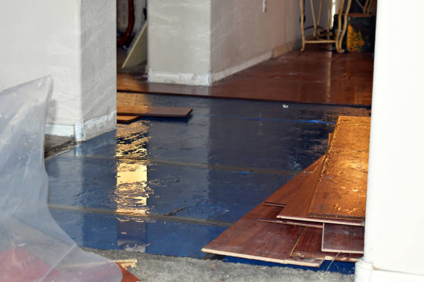 Professional Sewage Cleanup technician working in Milltown, WI